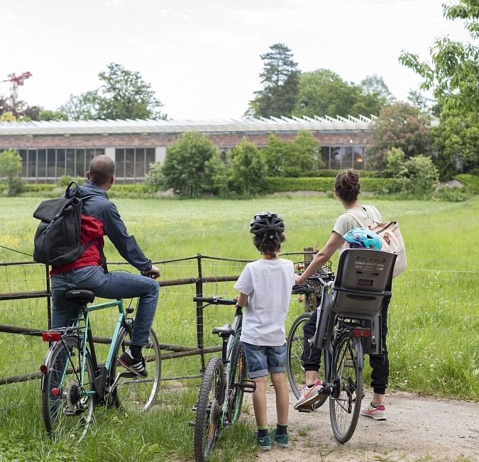 Fahrradweg Fondation Beyeler Vitra Design Museum